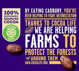 Cadbury Dairy Milk Chocolate with Oreo Biscuits Filling - 16 g
